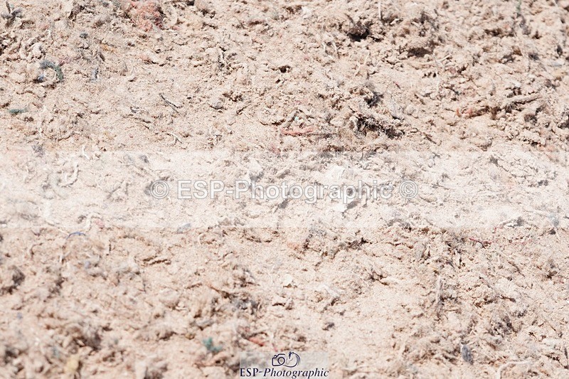 250503-134802-01172 - Cls 27 Stepping Stones