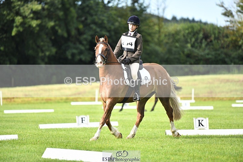 230826-091101-15041 - Sections C & D 9 to 10am