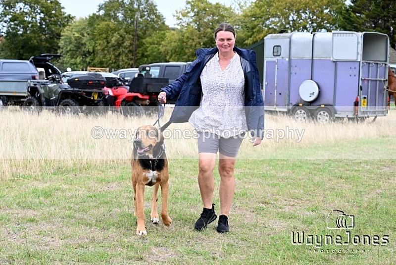 WJ7_0595 - Berks & Bucks Hound Exercise Blewbury 13-09-26