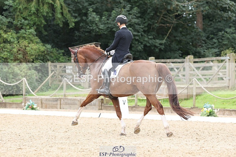 240810-133936-03366 - 150-Gijs.Van.Vooren-Hawtins.Quattro