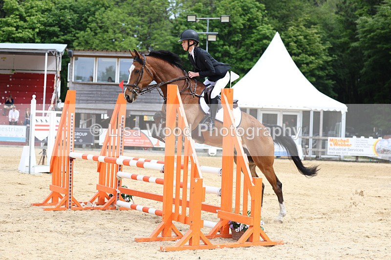 3E7A8561 - Class 4: Senior British Novice/90cm open