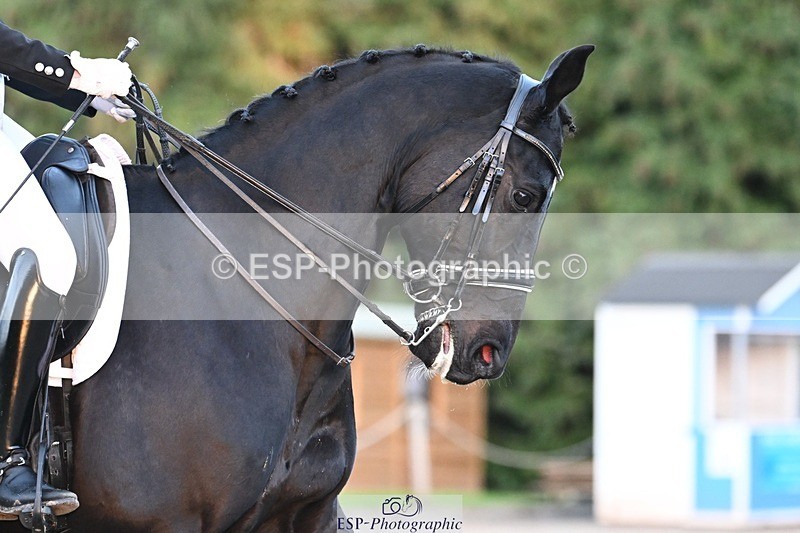 231110-160908-02474 - Cls 12 FEI Inter I