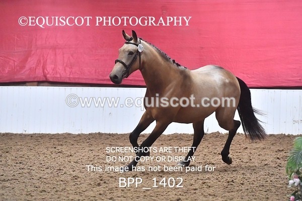 BPP_1402 - MORNING 9AM - 12PM