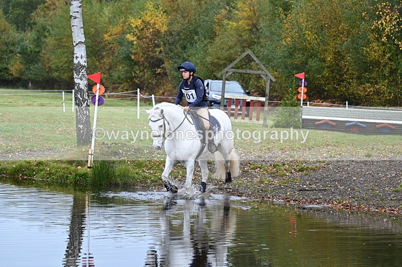 WJ7_9424 - 80cm Cam 2 Water Time 10:08 to 10:23