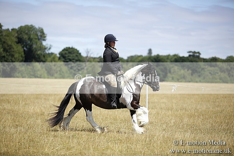 _C7A9868 - BVRC Show 2018 Ring 1