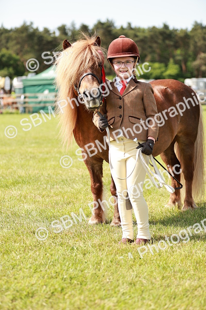 SBM_01850 - Class 14-23 - Mountain & Moorland In Hand Non Welsh
