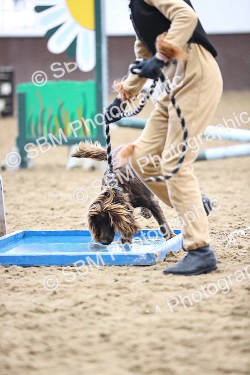 SBM_001274 - Class 3 - Horse & Hound 60cm