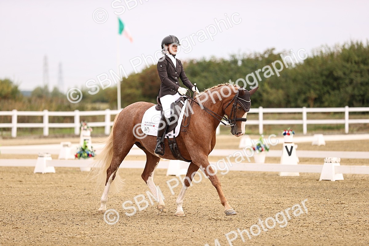 SBM_011522 - Class 1 - Medium 5