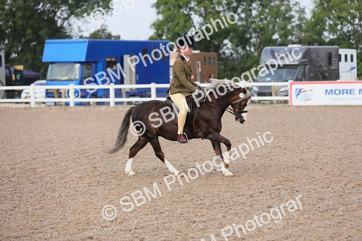SBM_09621 - Class 301 Ridden M&M -Small Breeds