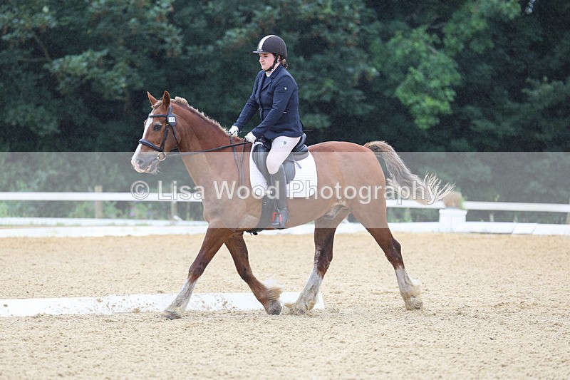 3E7A4753 - Class 1: Intro 4 2024 section A