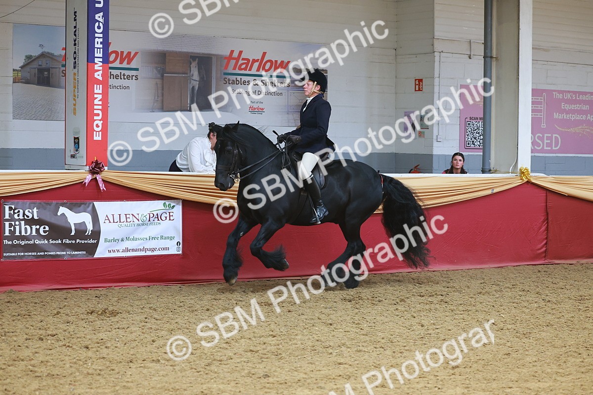 SBM_17812 - Class 952 - M&M Ridden Supreme Final