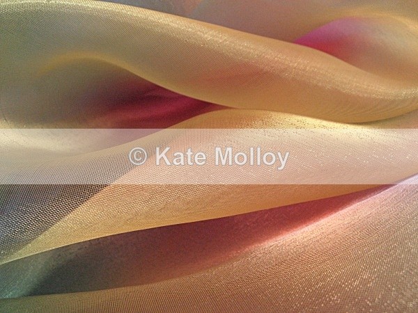 Entwined - Limited Edition Prints
