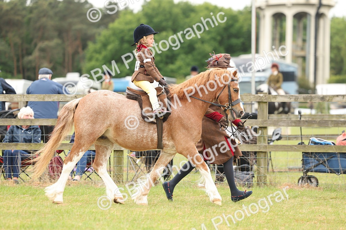 SBM_06732 - Class 74-75 - M&M Lead Rein and First Ridden Pony