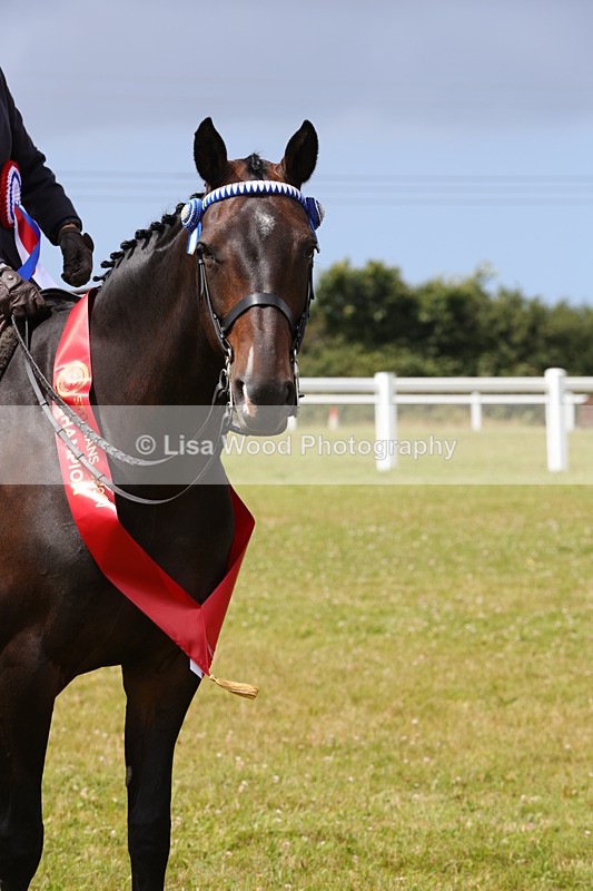 1X9A4975 - Veteran Championship