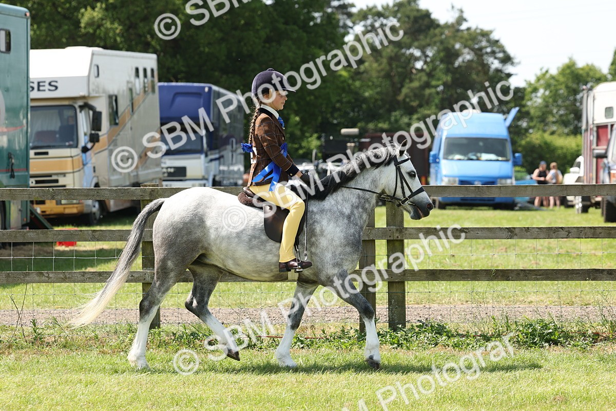 SBM_05374 - Class 24-25 - Mountain & Moorland In Hand Lead Rein and First Ridden