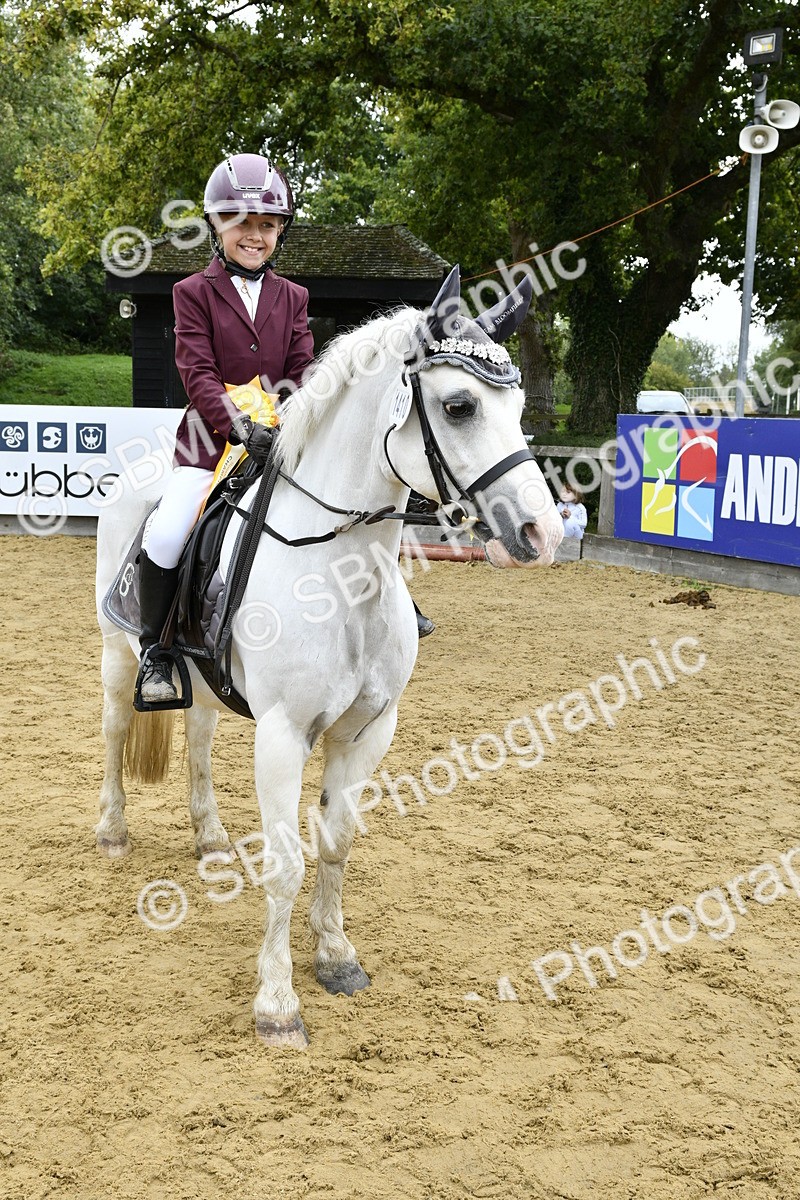SBM_66208 - J2a mini Tour Junior Pony 30cm Championship