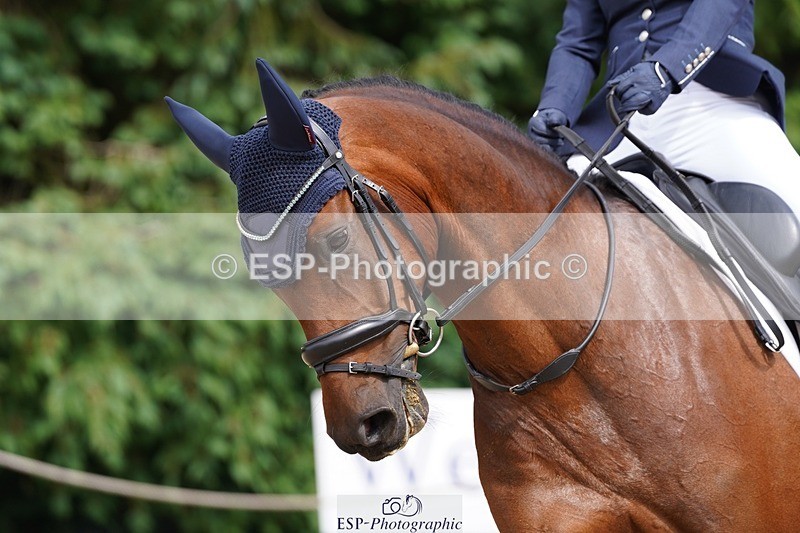 240721-151402-10024 - 195-Dawn_Bear-First_Taylor_Made