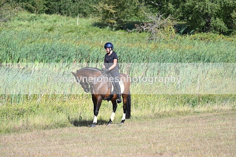 WJ7_3657 - Time 10:33 to 10:53