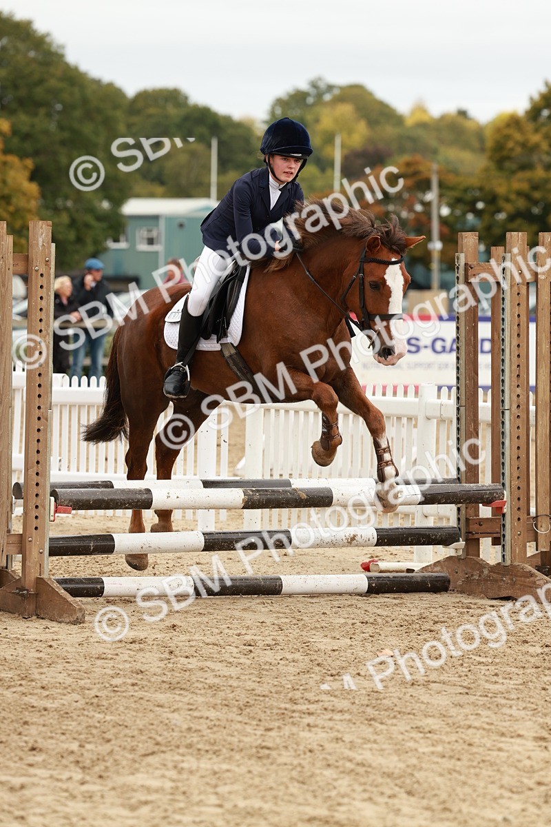 SBM_66915 - J13 - Junior Pony 60cm Championship