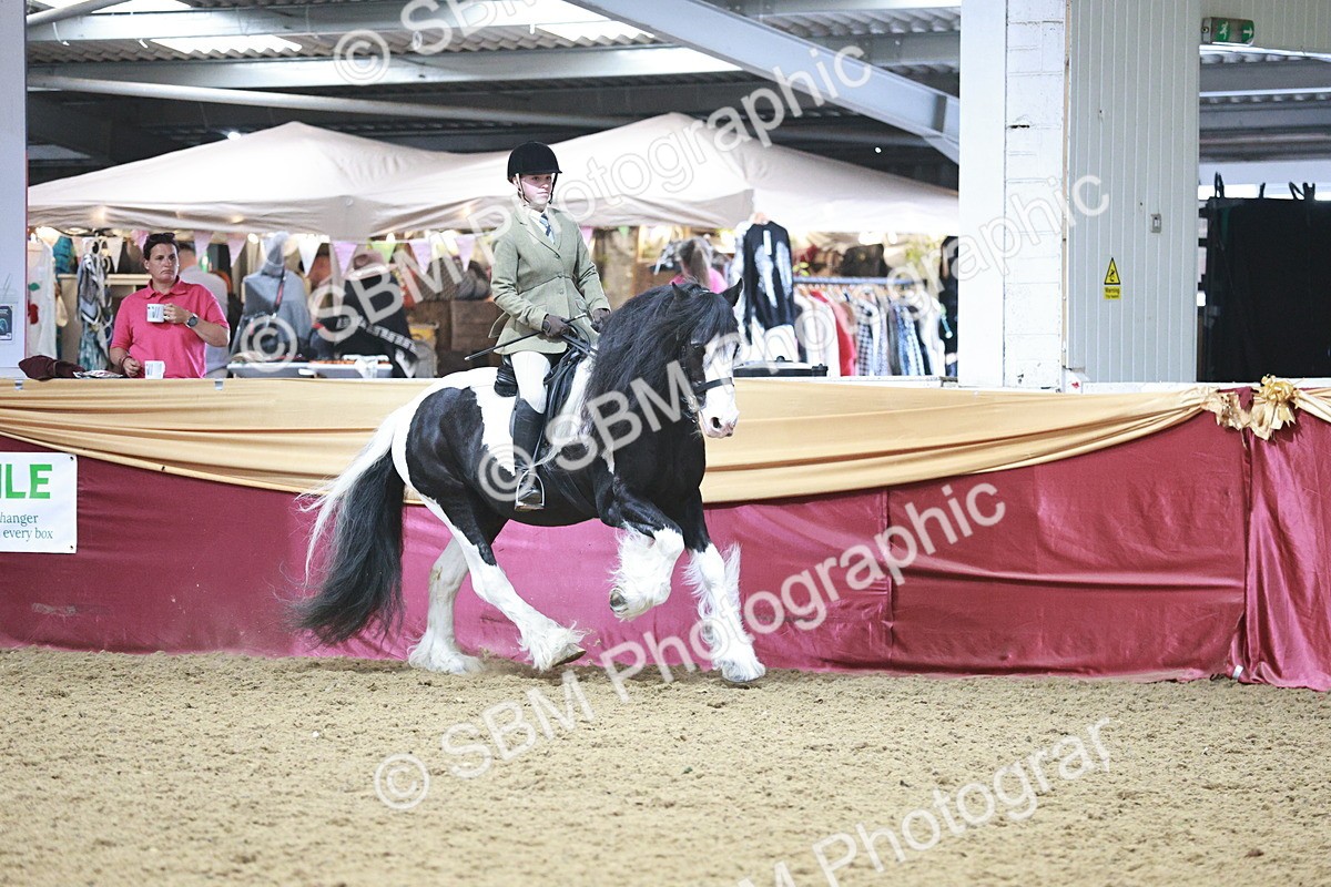 SBM_08909 - Class 12R - Regional Ridden Pre-Vet