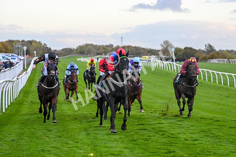 281025-Race 7-Crocodile Power-2112 - Race 7