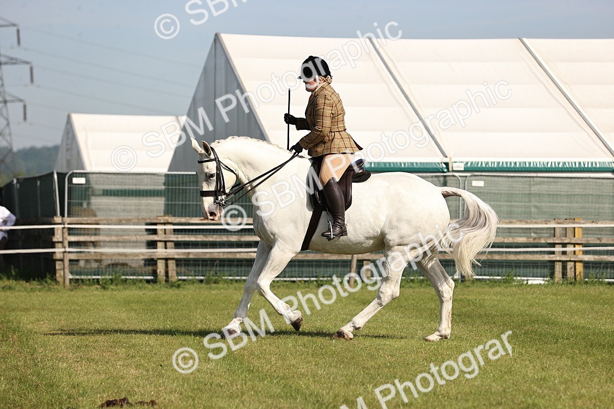 SBM_12427 - Class 73-74 - LIHS BSHA Open Style & Performance