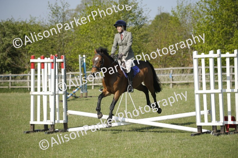 20250427-0369 - Class 12 - Rookie Jumping 40cm