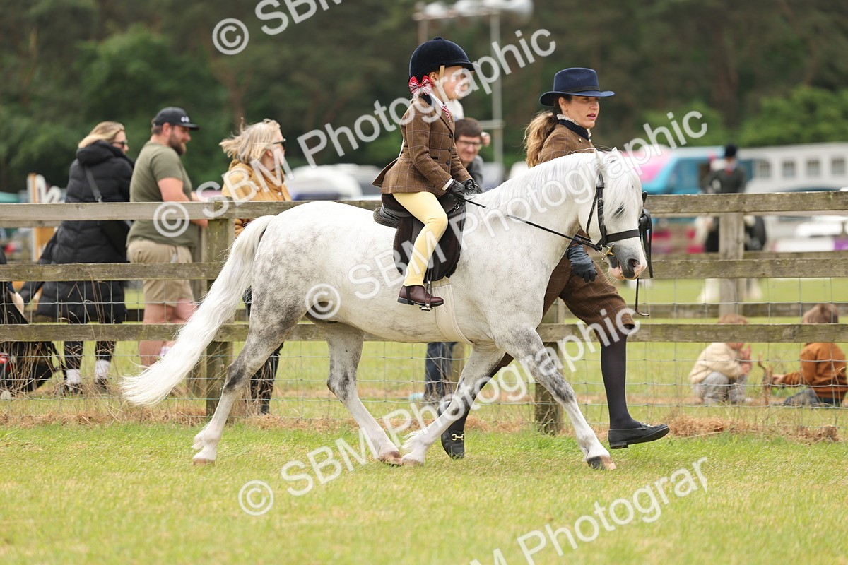 SBM_06698 - Class 74-75 - M&M Lead Rein and First Ridden Pony