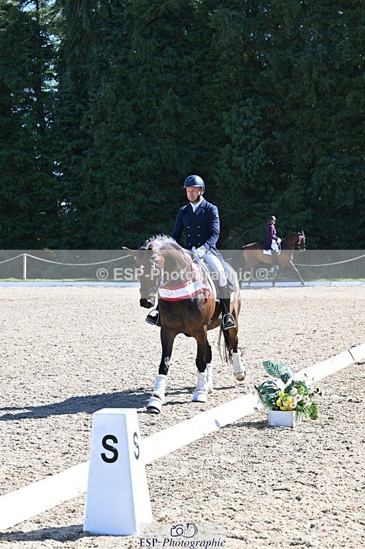 240811-154544-06853 - Inter I Silver