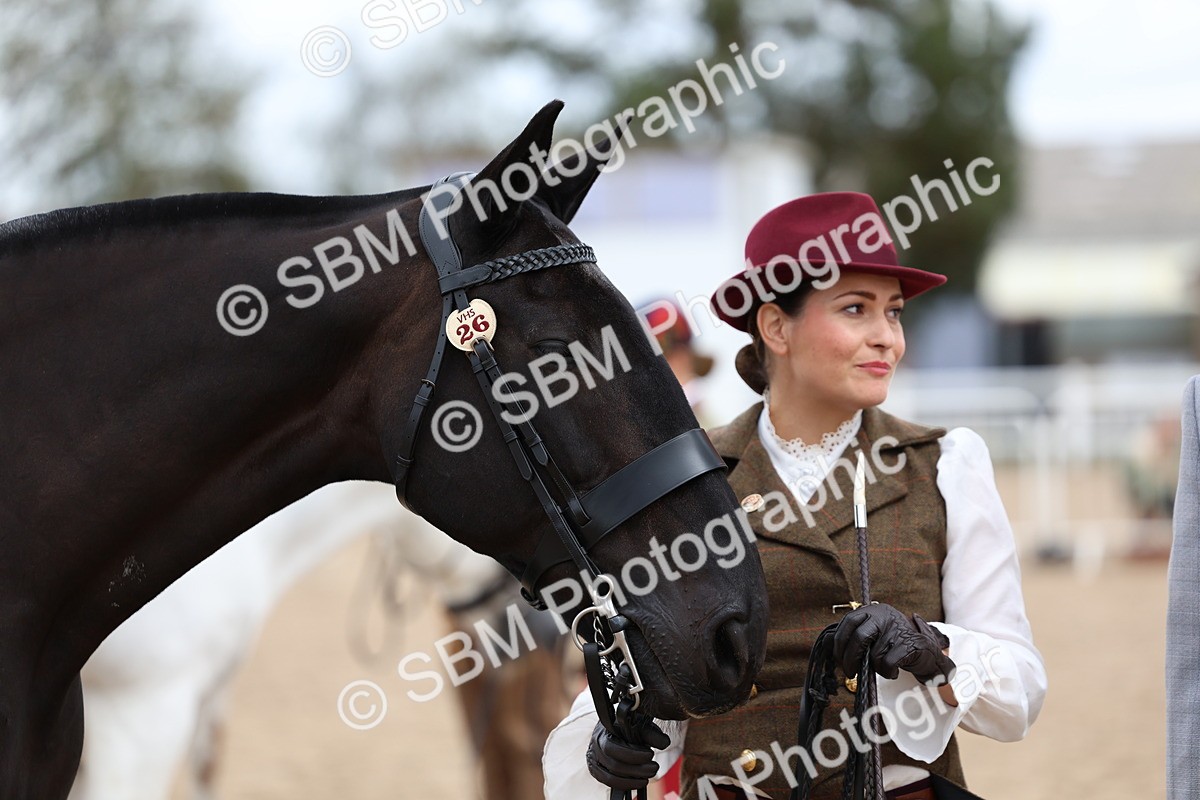 SBM_05096 - Class 27 - IH Competition Horse or Pony