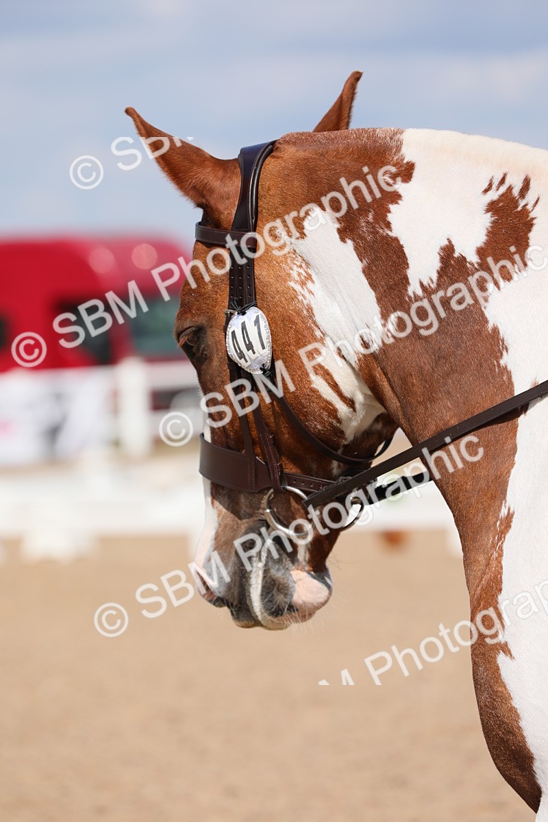 SBM_04139 - Class 31 Prelim 1