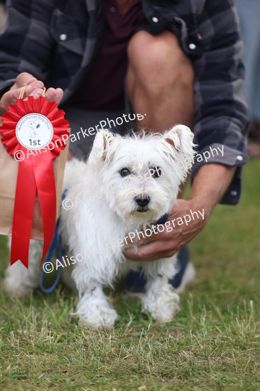 20250607-0371 - Class 9 - Scruffy or Fluffy