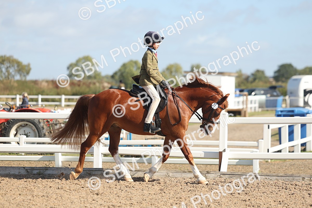SBM_22599 - Class 804 - Ridden Veteran Pony