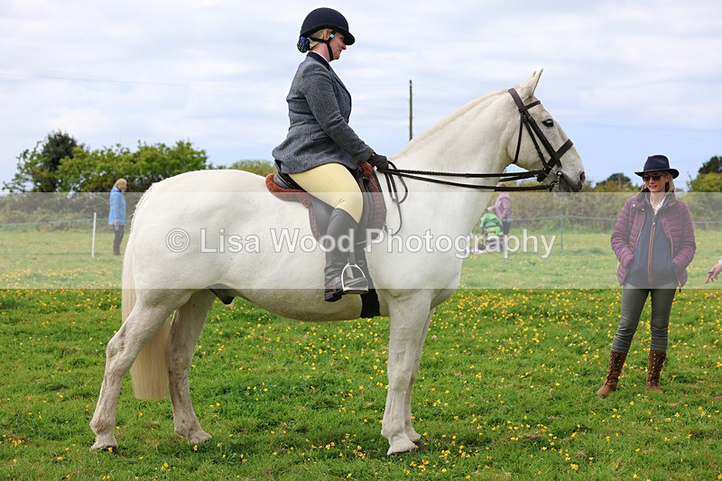 3E7A1333 - Class 7: Ridden Hunter Type