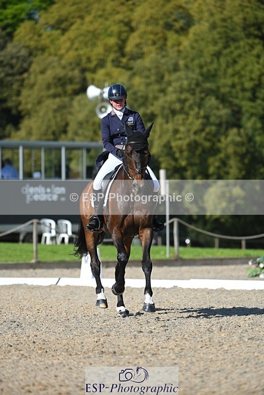 230526-172802-07613 - 263-CARWARTHEN_HARRIER-Polly_Muirhead-WEDTrotUp+DR