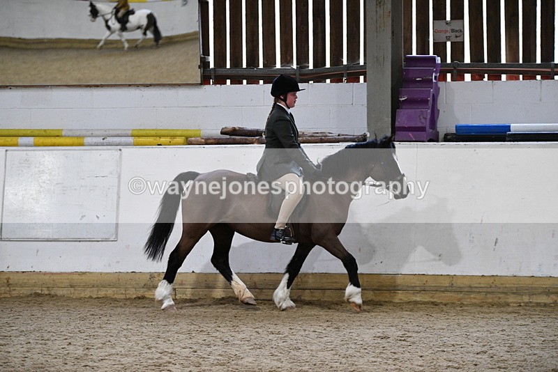 WJ5_7151 - Class 11 Ridden PC - RC Pony