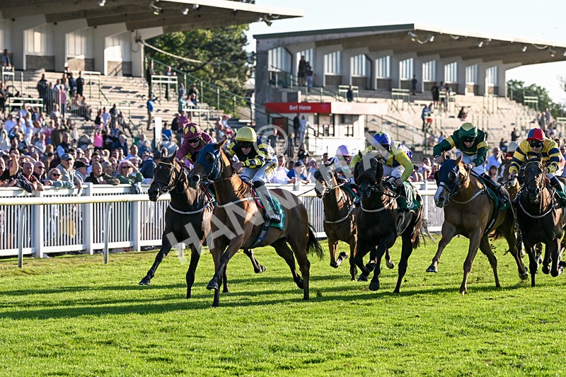 160824-Race 5-Ready Freddie Go-9567 - Race 5