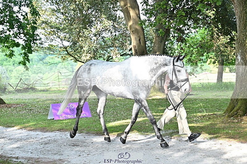 250521A-170110-01471 - C-278-Harriet.Wright-MBF.UP.NORTH