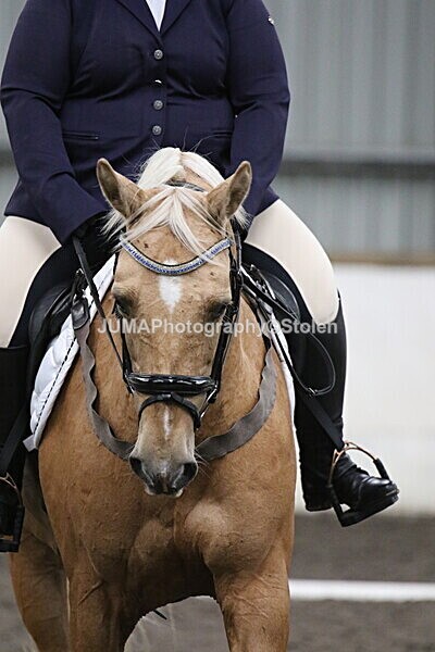SIAL5482 - CAbin Dressage 5th july 2025