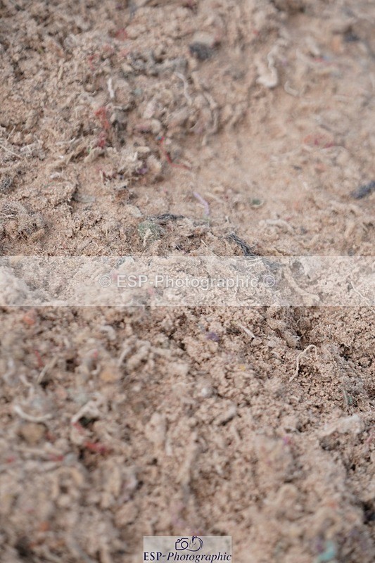 250608-100546-01840 - Cls 4 Pony British Novice and 80cm