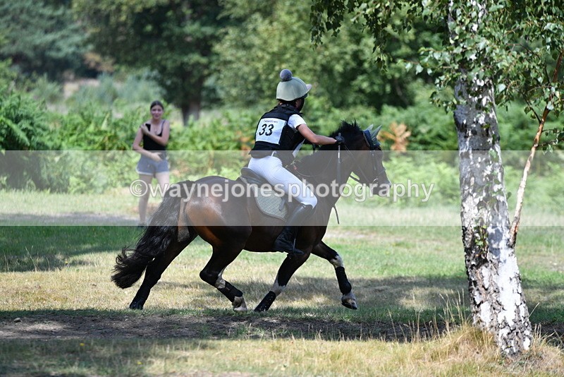 WJ5_2746 - XC Time 11:51 to 12:26