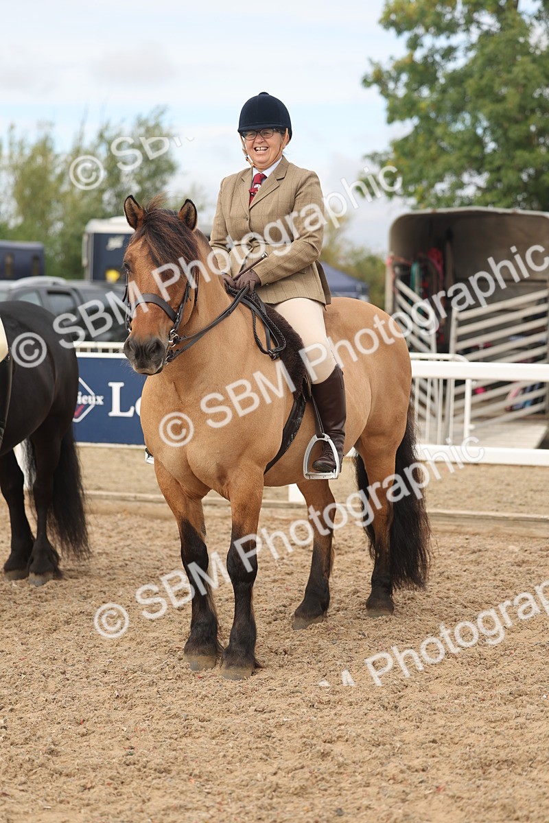 SBM_01963 - Class 14 - Ridden M&M Wildcard