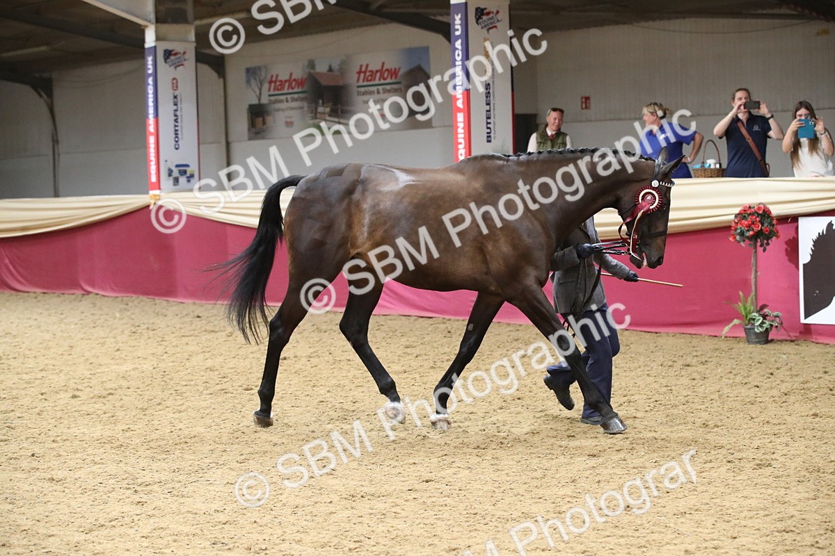 SBM_05833 - Class 9R - Regional IH Pre-Vet