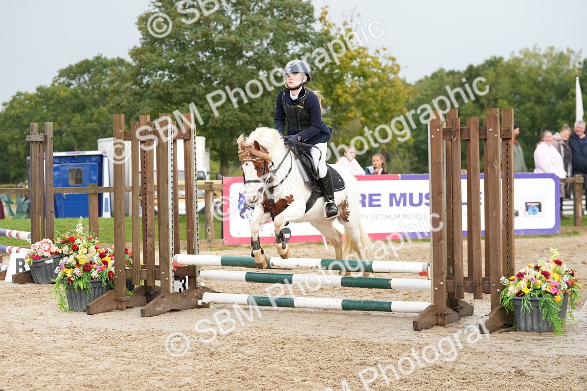 SBM_32434 - J5 - Junior Pony 50cm Championship