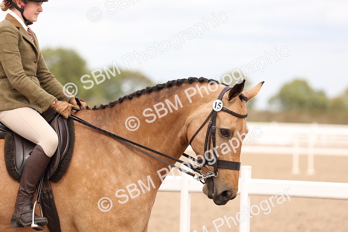 SBM_17179 - Class 213 - Ridden Hunter - Large