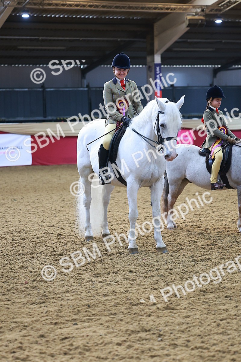 SBM_07759 - Class 101 - HOYS Veteran Qualifier - Ridden Diamond