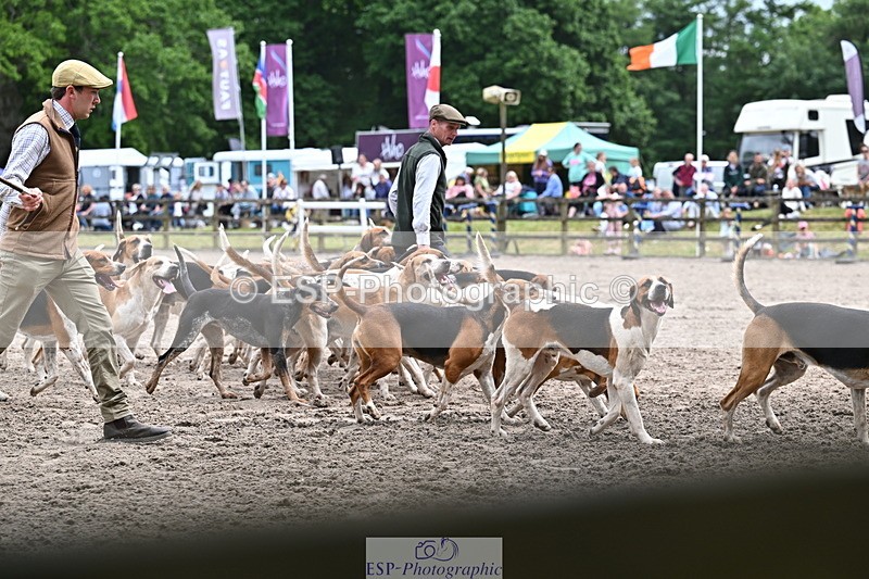 250524A-152219-12698 - East Devon Hounds