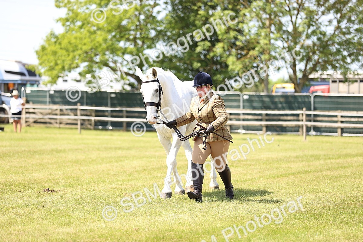 SBM_16169 - Class 79-80 - LIHS BSHA Rising Star Ridden Hunter