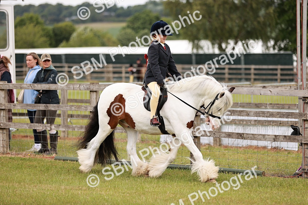 SBM_06095 - Class 39-41 TGCA In Hand and Ridden