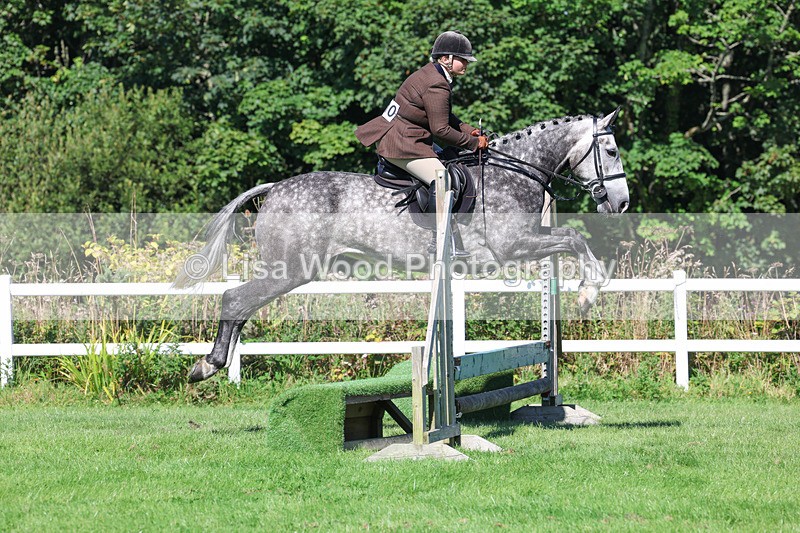 3E7A8282 - Class 4: Novice working Hunter